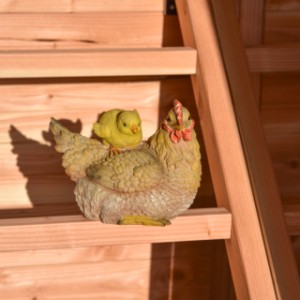 Chickens can relax comfortably on the roosting ladder