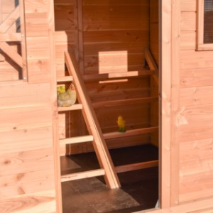 Inside the coop there are 2 roosting ladders with 4 perches per ladder