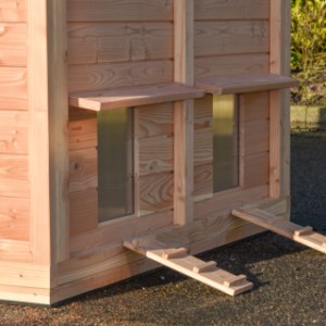 On the outside near the pop hatches, there are 2 ramps so the chickens can easily walk in and out.