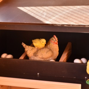 In the large nesting box, the chickens can lay their eggs in peace and quiet.