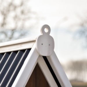 Take a look at the beautiful decorative ornament of chicken coop Pip