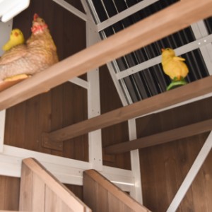 The chickens can perch nice and high because the coop is open all the way to the ridge