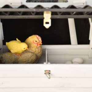 The nesting box of Noah is divided into 2 sections