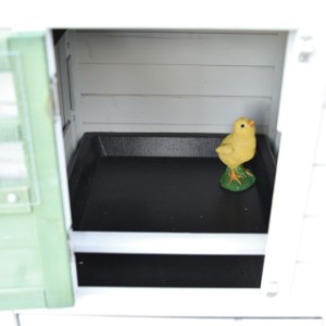 In the night shelter of Noah there is a removable perch