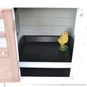 In the night shelter of Noah there is a removable perch