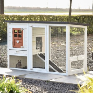 Rabbit hutch Noah terra 168x65x87cm