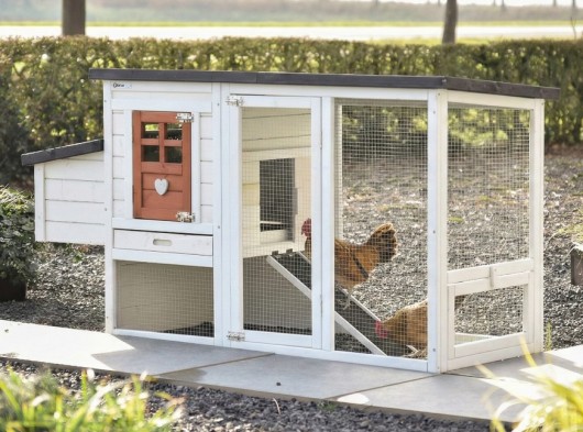 Chicken coop Noah terra 168x65x87cm