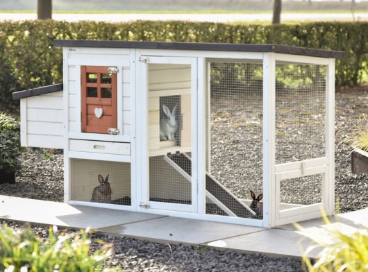 Rabbit hutch Noah terra 168x65x87cm