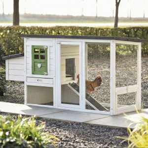 Chicken coop Noah olive 168x65x87cm