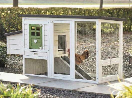 Chicken coop Noah olive 168x65x87cm