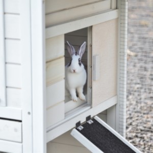 The door of the night shelter can be slid to the left and to the right