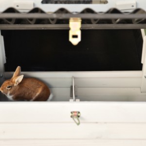 The nesting box on the side of Noah provides a larger night shelter