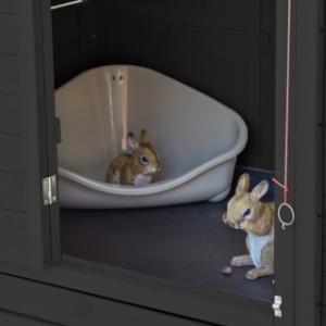 In the lockable sleeping area of the Holiday Large rabbit hutch, the rabbits can rest comfortably.