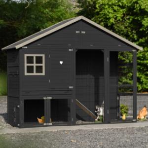 The modern look of the Holiday Large chicken coop fits perfectly in a contemporary garden.