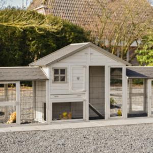 Chickencoop Holiday Medium Double