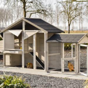Chickencoop Holiday Medium with nest box and extra run | with many doors