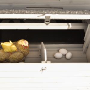 Chickencoop Holiday Medium | nest box divided in 2 parts