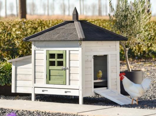 Chicken coop Ambiance Small Olive 108x77x99 cm