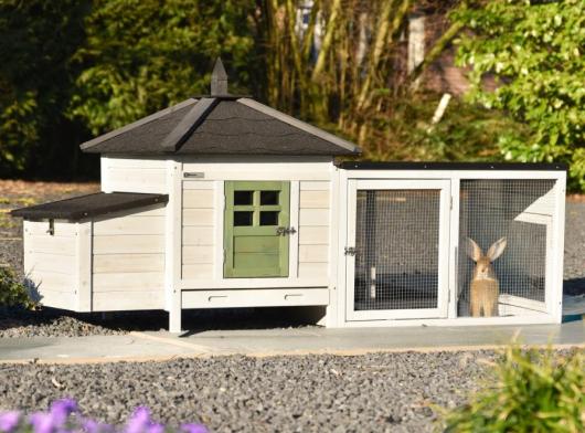 Rabbit hutch Ambiance Small Olive covered run with roofing felt 200x77x99 cm