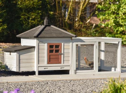 Chicken coop Ambiance Small terra with run and wire roof 200x77x99 cm