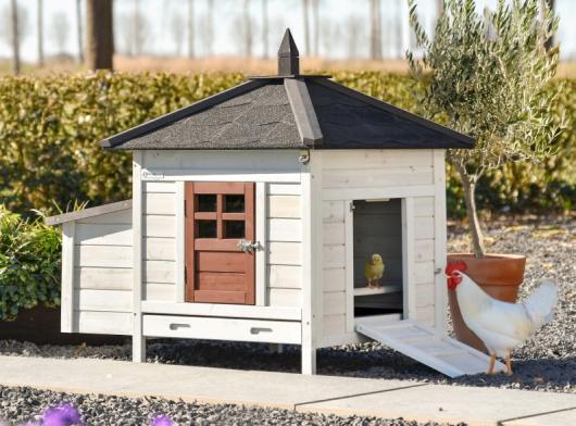 Chicken coop Ambiance Small terra 108x77x99 cm
