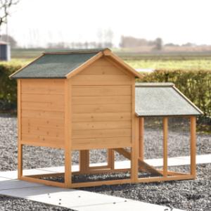 Take a look at the back of rabbit hutch Action