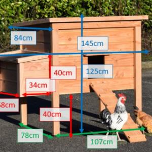 Various dimensions of the chickencoop Chicky