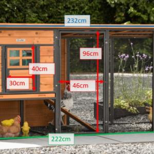 Various dimensions of the chickencoop Judy