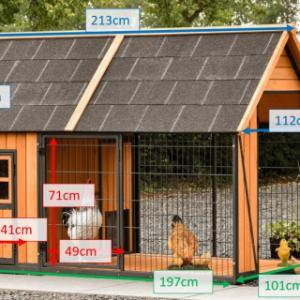 Various dimensions of the chickencoop Danielle