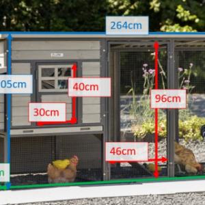 Various dimensions of the chickencoop Judy