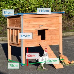 Various dimensions of the chickencoop Chicky 2