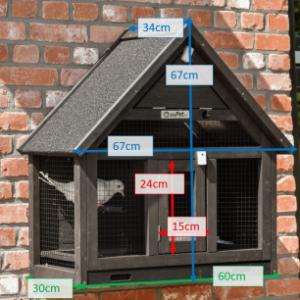 Various dimensions of the aviary Matty