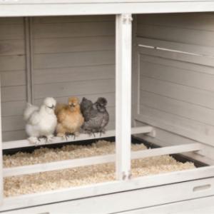 The sleeping compartment of the chickencoop Prestige Large is equipped with 2 perches
