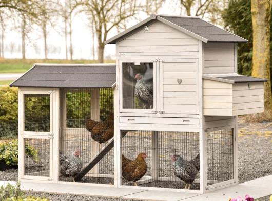 Large rabbit hutch Prestige Large with run and laying nest 265x100x181cm