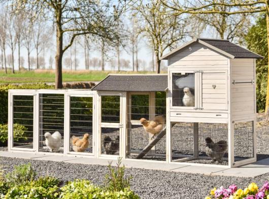 Chickencoop Prestige Large with 2 runs 411x100x181