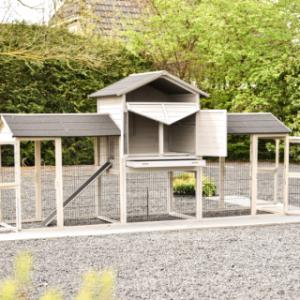 Rabbit hutch Prestige Large has many doors