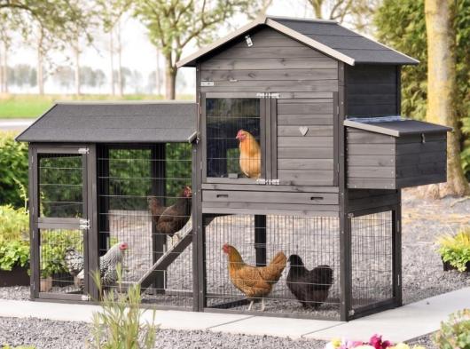 Large rabbit hutch Prestige Large with run and laying nest 265x100x181cm