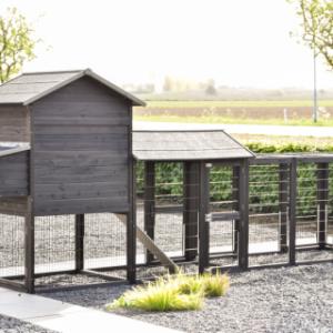 Take a look at the back of Prestige Large