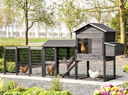 Chicken coop Prestige Large Light-grey with 2 runs and nesting box