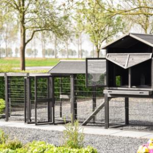 Chickencoop Prestige Large | with many doors