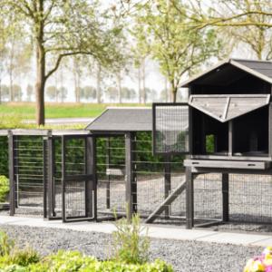 The rabbit hutch Prestige Large has many doors