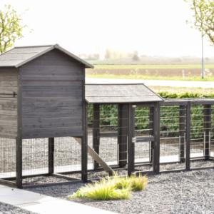 Take a look at the back of the Prestige Large