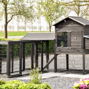 Prestige Large with 2 extension runs and nesting box can be set up in various ways