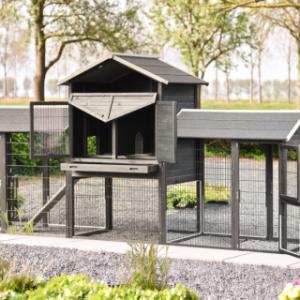 Rabbit hutch Prestige Large has many doors