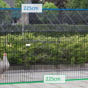 Various dimensions of the animal run Louis