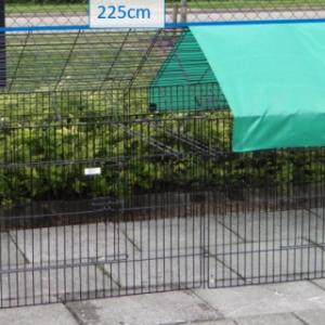 Various dimensions of the animal run Louis