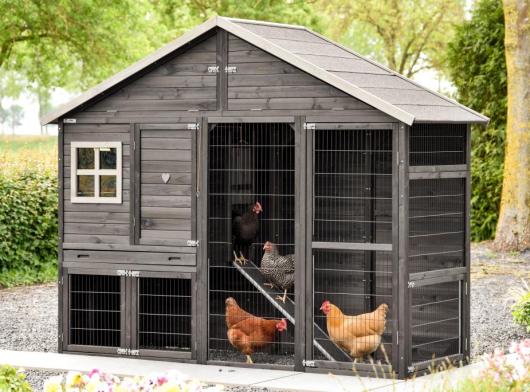The Holiday Large chicken coop is modern, spacious, and black.