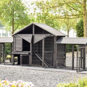 With its many doors, the Holiday Large rabbit hutch is especially user-friendly