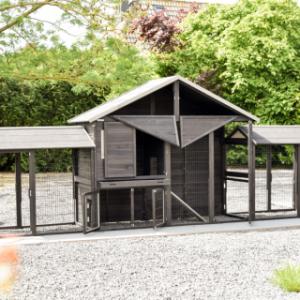 With its many doors, the Holiday Large rabbit hutch is especially user-friendly