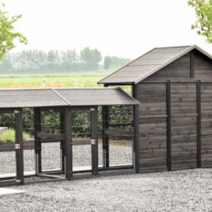 The chickencoop Holiday Large has a fully wooden backside